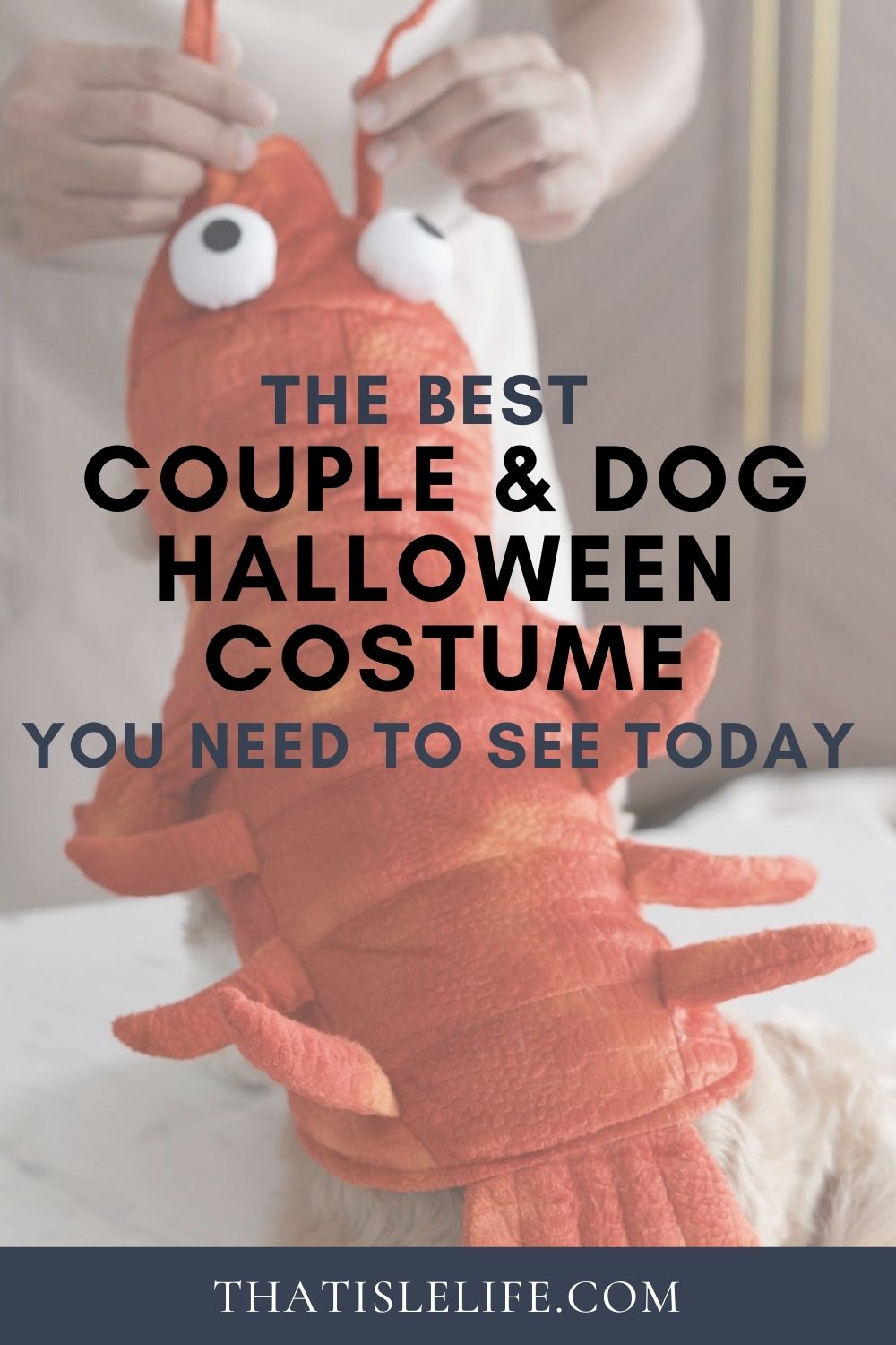 The Best Couple and Dog Halloween Costume You Need to See Today - That