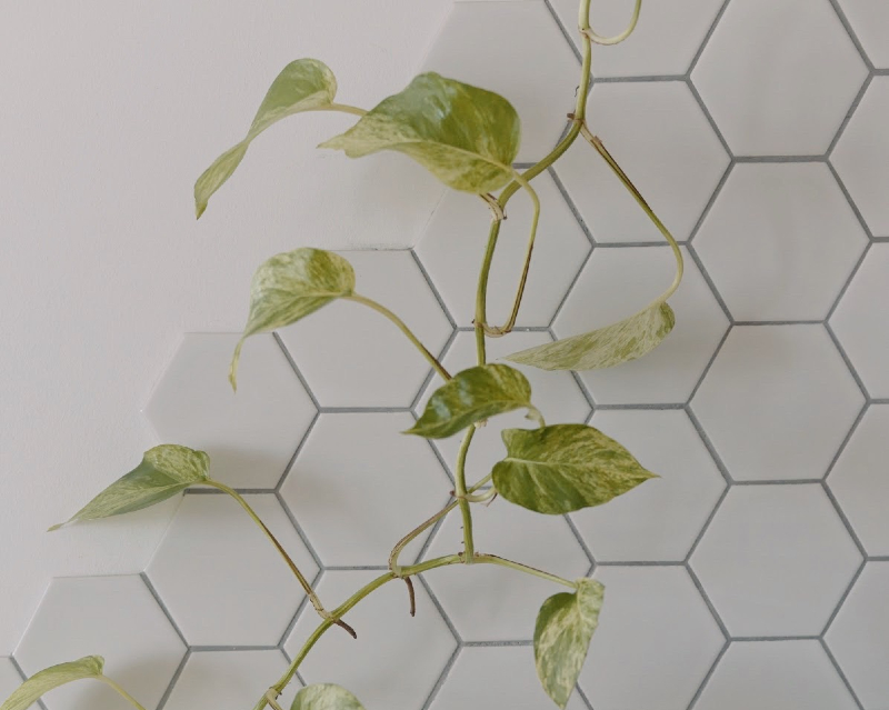 Classic Kitchen Backsplash Ideas