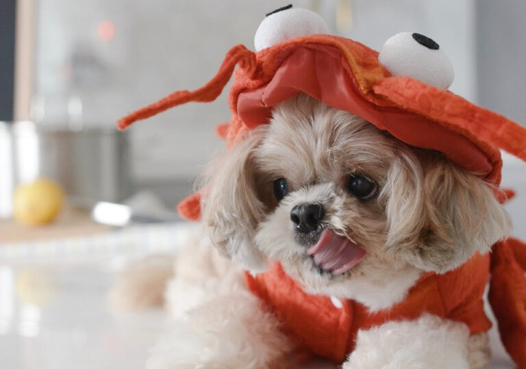 The Best Couple and Dog Halloween Costume You Need to See Today