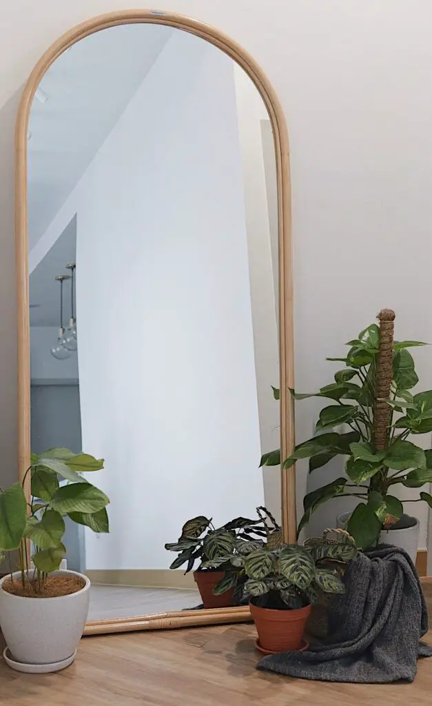 Arched Mirror Styling Indoor Plants