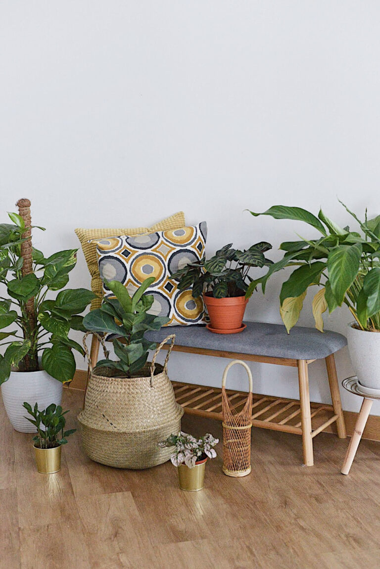 How To_ 5 Ways To Decorate Your Home With Indoor Plants