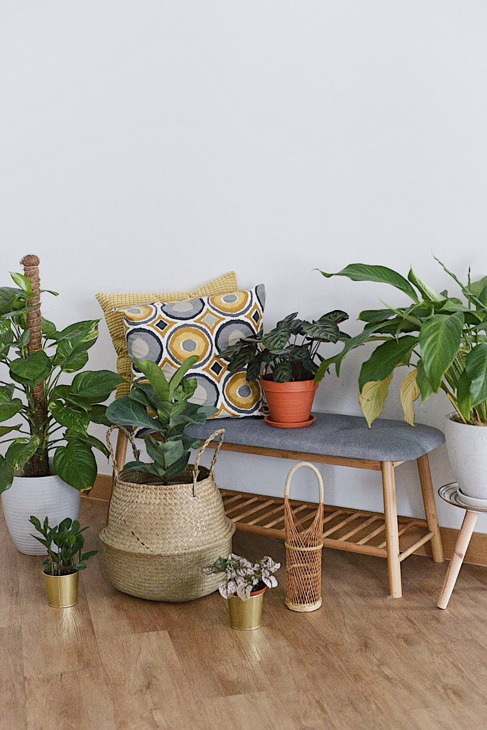 How To_ 5 Ways To Decorate Your Home With Indoor Plants