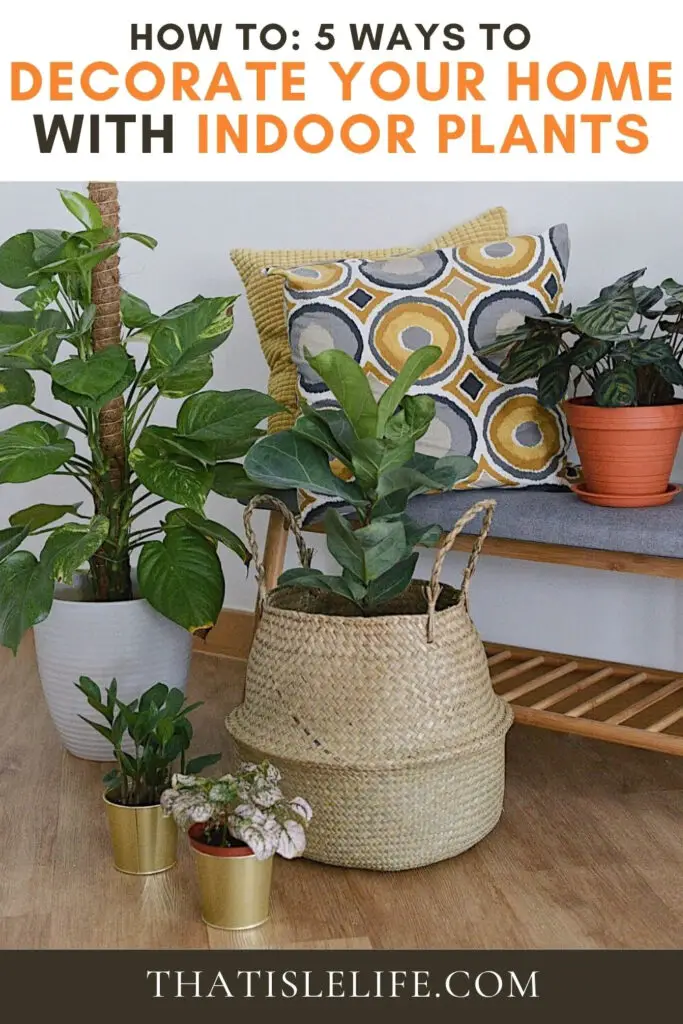 How To_ 5 Ways To Decorate Your Home With Indoor Plants