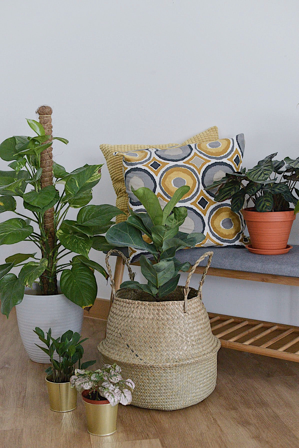 How To Arrange Indoor Plants In Your Home Like A Pro - That Isle Life