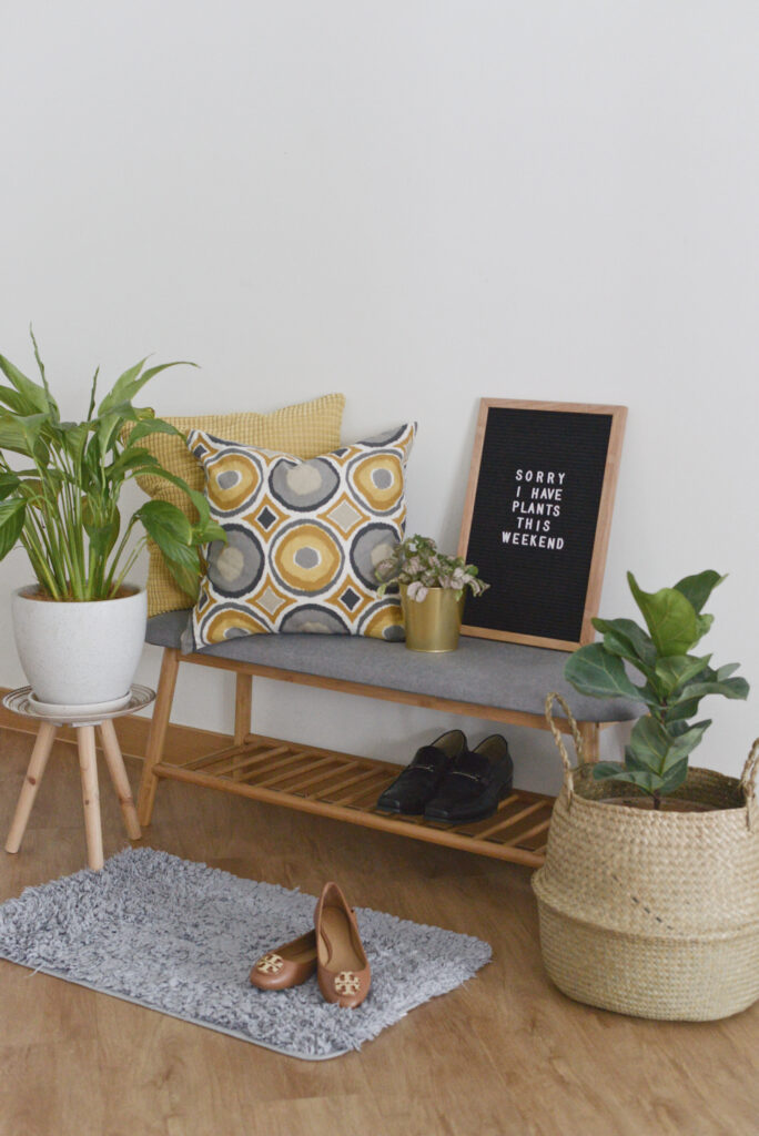 Indoor plants by entryway