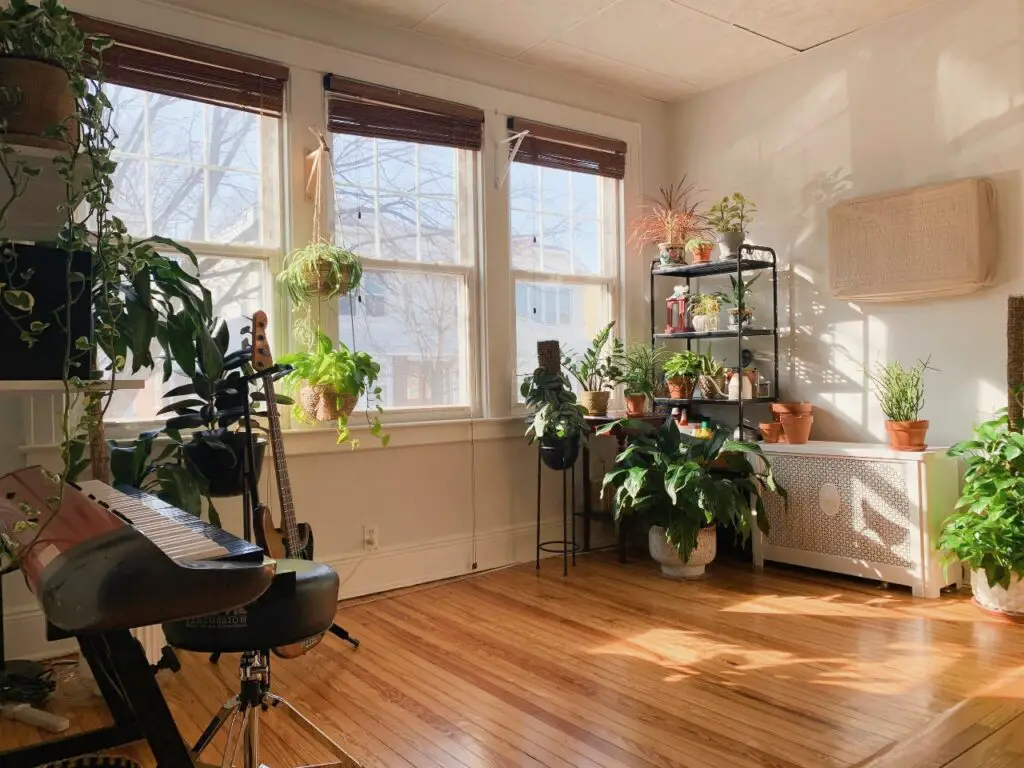 Railroad-style apartment living room with plants