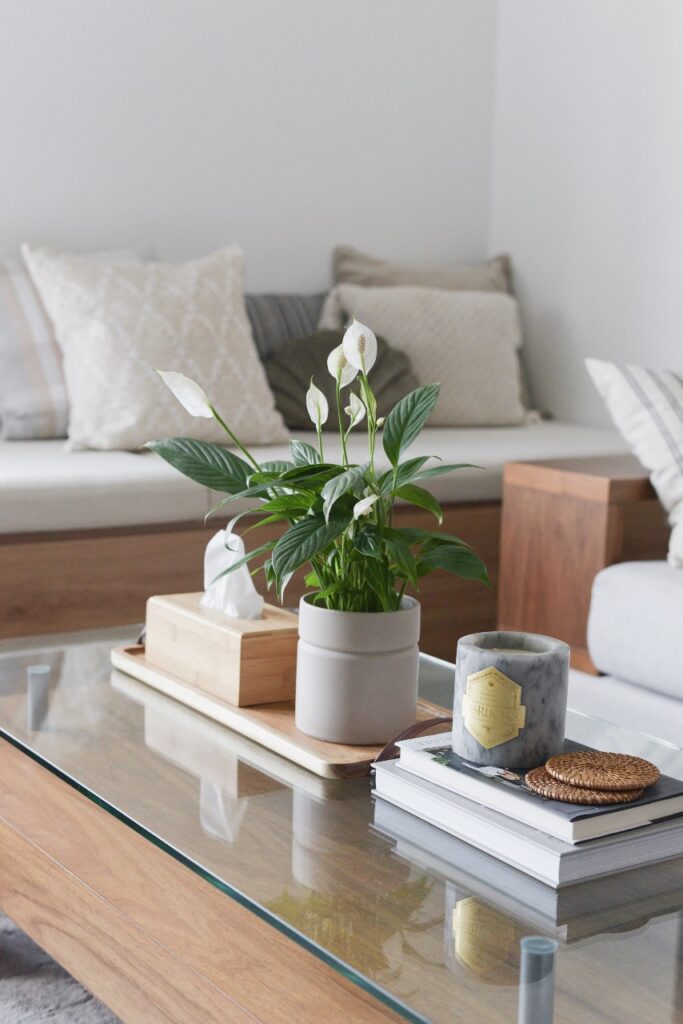Living room coffee table decor