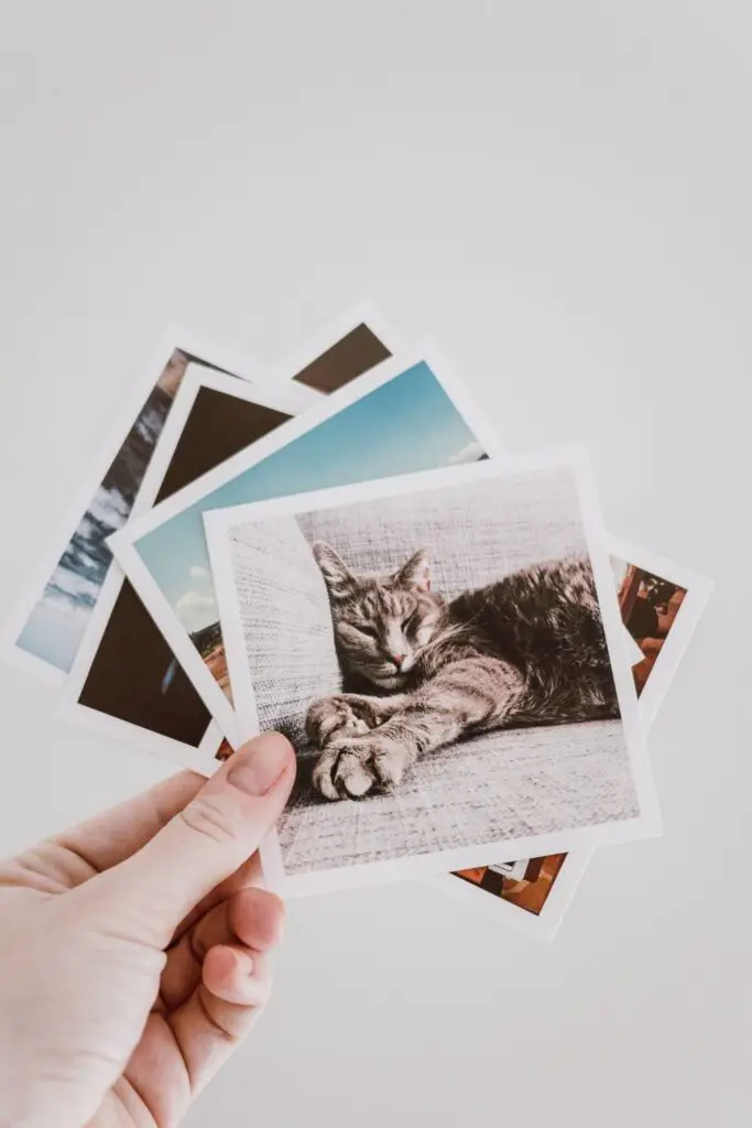 Types of print photos to declutter