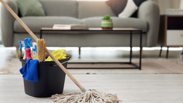 Regular cleaning vs deep cleaning your home